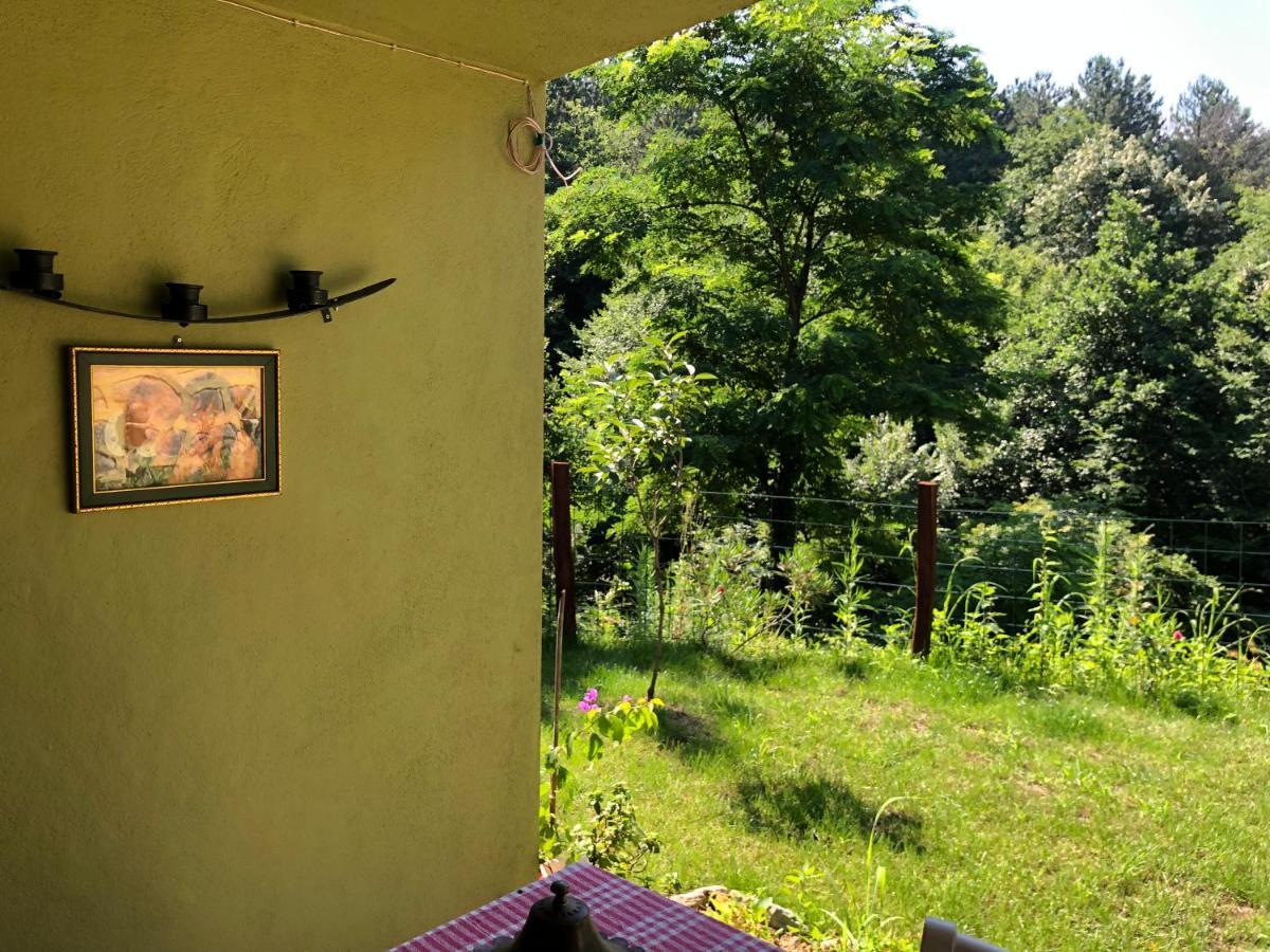 Happyhobbit Forest, Lake View, Fireplace , Jakuzi ,In サパンジャ エクステリア 写真
